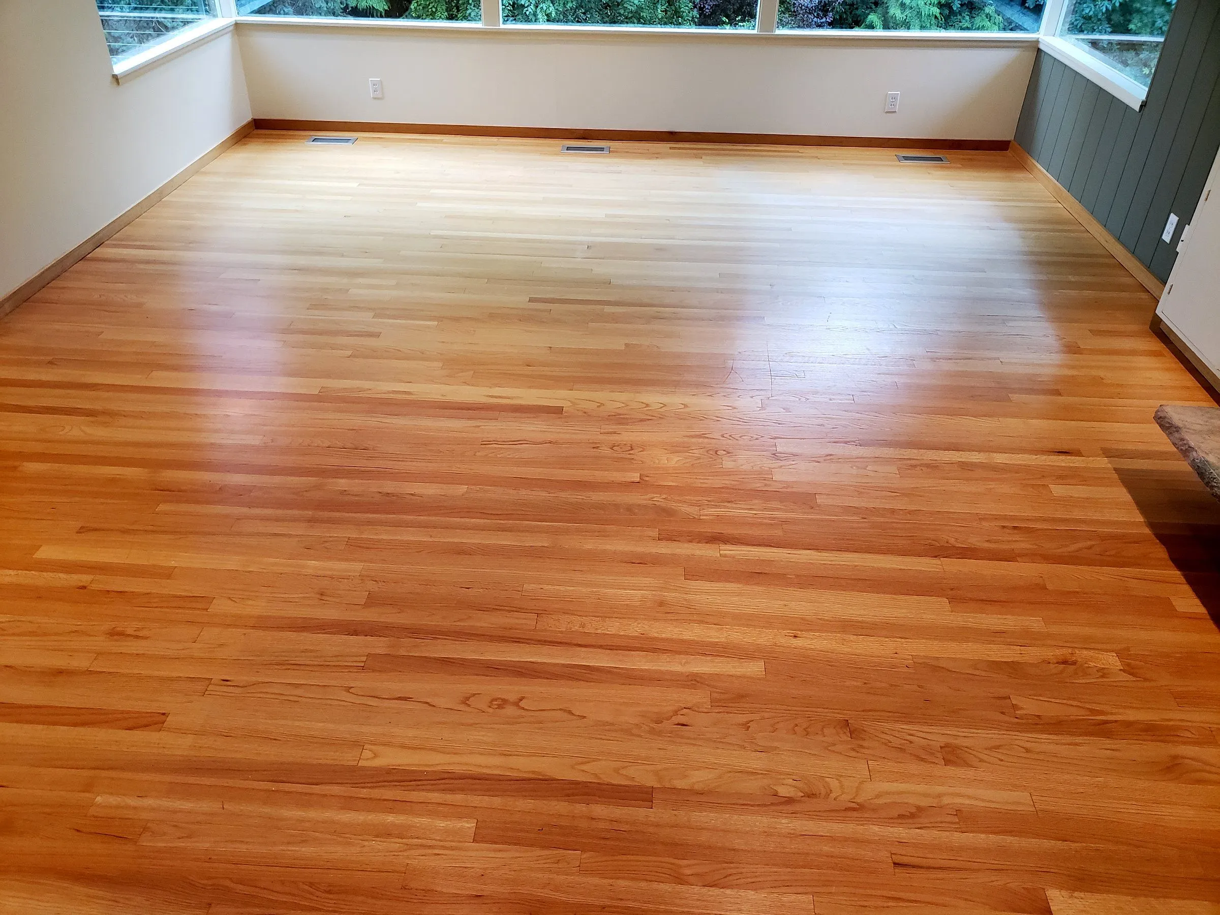 Refinished hardwood floor in a bright room with windows on three sides